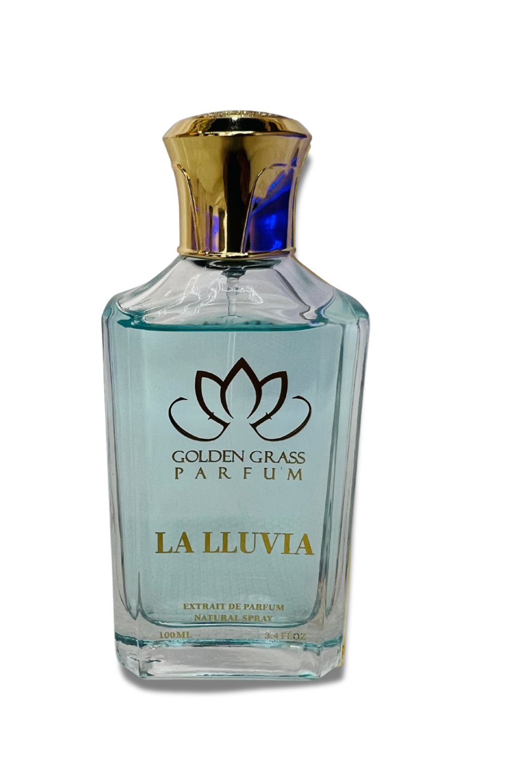 La Lluvia